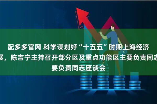 配多多官网 科学谋划好“十五五”时期上海经济社会发展，陈吉宁主持召开部分区及重点功能区主要负责同志座谈会