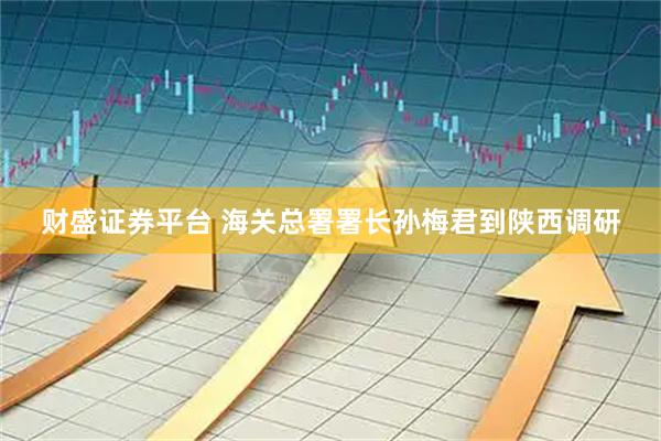 财盛证券平台 海关总署署长孙梅君到陕西调研